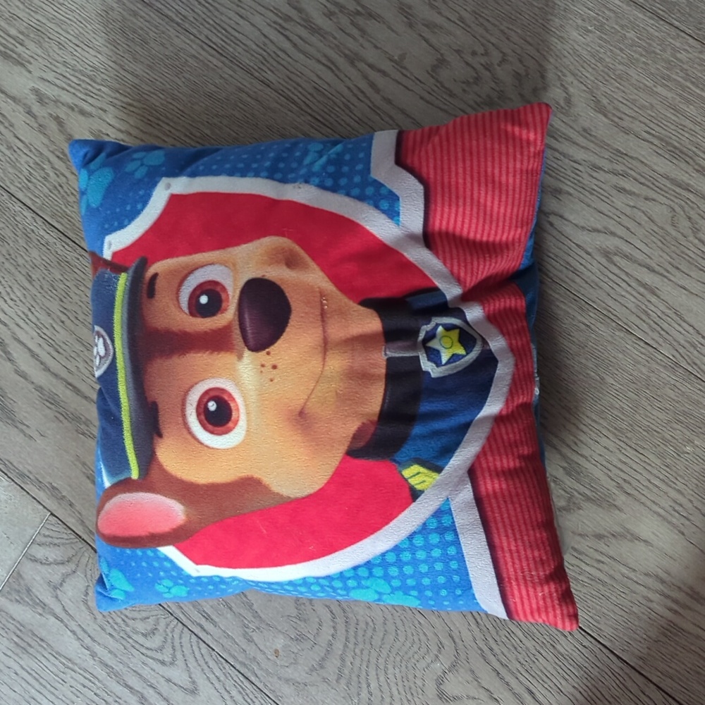 Paw Patrol Character Throw Cushion